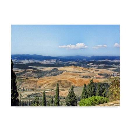 Trademark Fine Art Liz Zernich 'Trip Tuscany 2' Canvas Art, 18x24 ALI42572-C1824GG